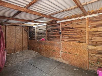 Picture 21